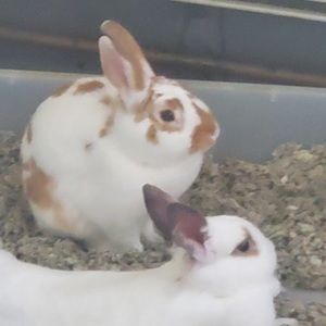 Meet your Posher, Logan